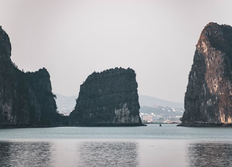 Dự án Đi Đâu